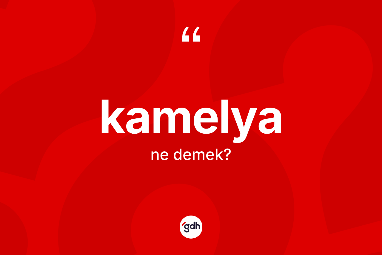 Kamelya kelimesinin sözlükteki tanımı nedir? Kamelya kelimesinin kaç farklı anlamı var?