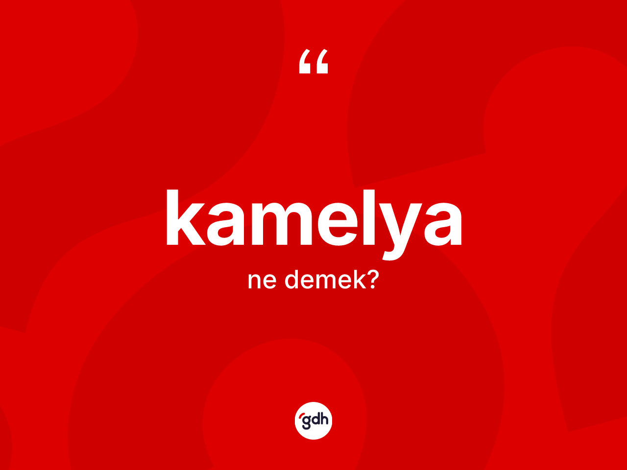 Kamelya kelimesinin sözlükteki tanımı nedir? Kamelya kelimesinin kaç farklı anlamı var?