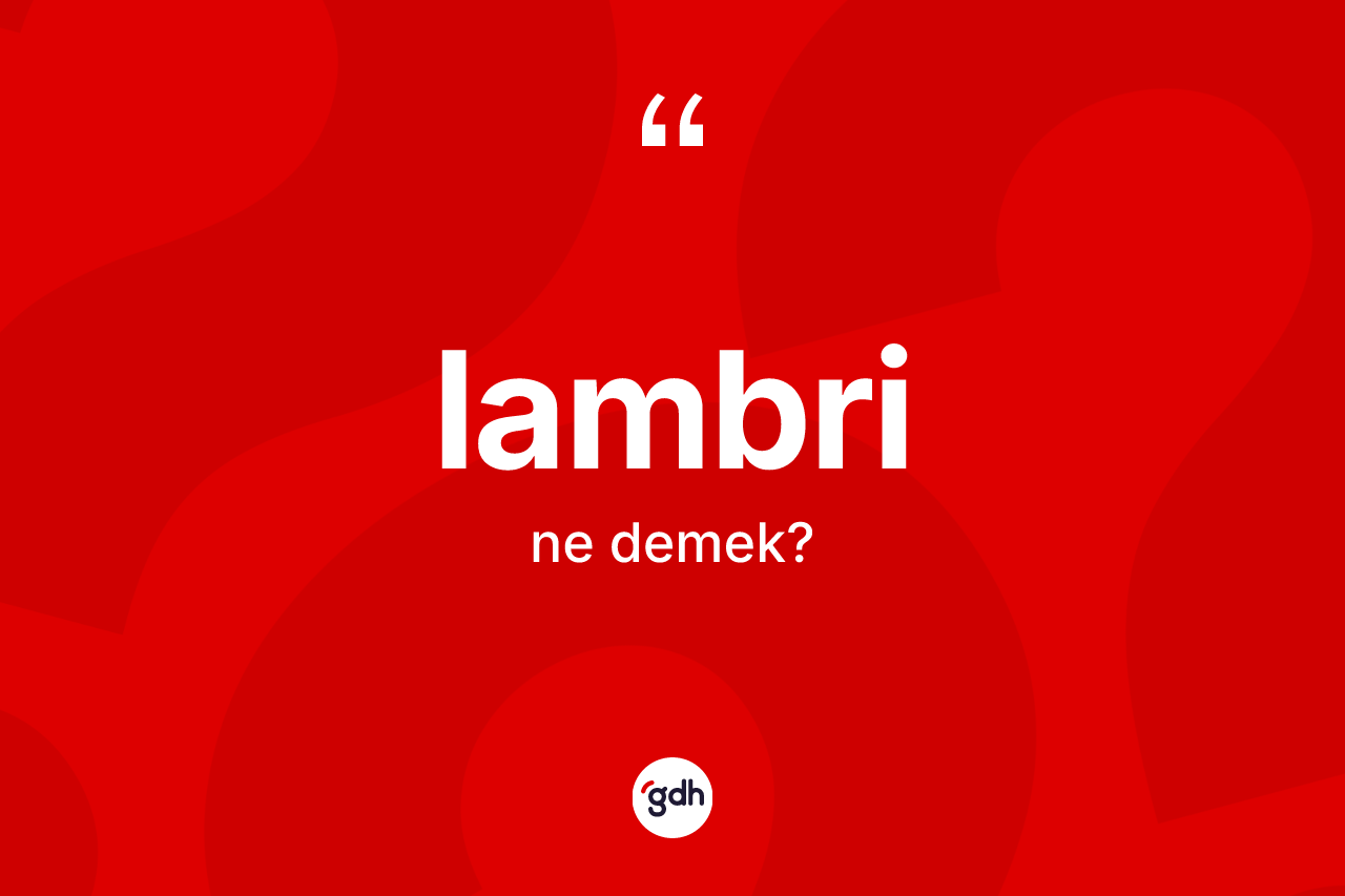 Lambri kelimesinin sözlükteki tanımı nedir? Lambri kelimesinin kaç farklı anlamı var?