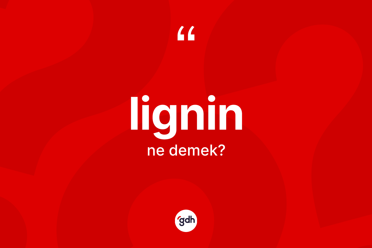 Lignin kelimesinin tanımı nedir? Ligninin kısaca tanımı nedir?