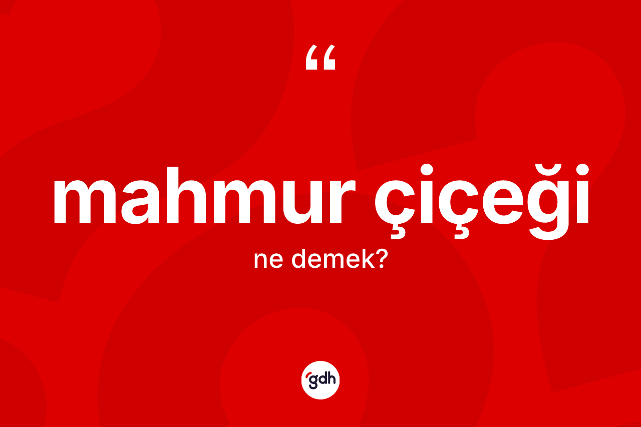 Mahmur çiçeği kelimesinin sözlükteki tanımı nedir? Mahmur çiçeğinin TDK'ya göre anlamı nedir?