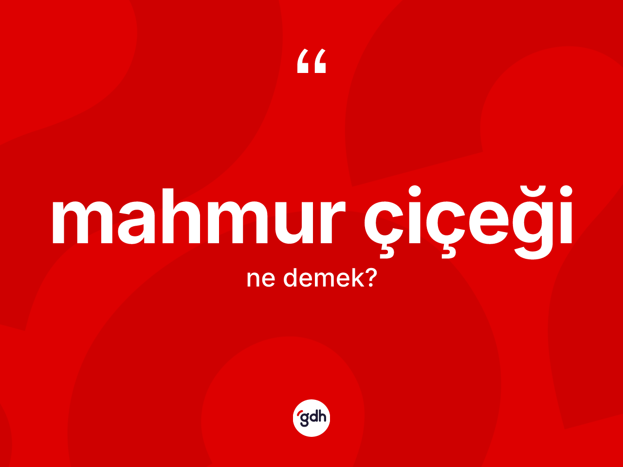 Mahmur çiçeği kelimesinin sözlükteki tanımı nedir? Mahmur çiçeğinin TDK'ya göre anlamı nedir?