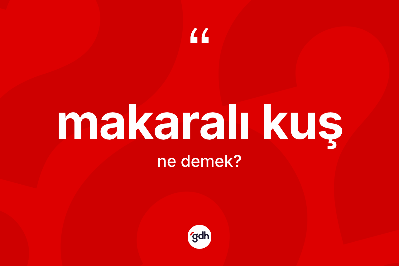 Makaralı kuş kelimesinin tanımı nedir? Makaralı kuşun halk arasındaki kullanımı nasıldır?