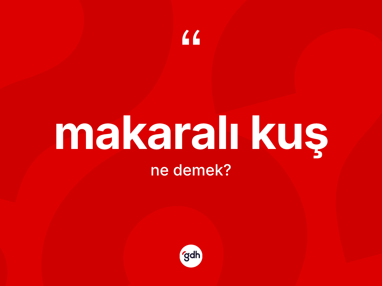Makaralı kuş kelimesinin tanımı nedir? Makaralı kuşun halk arasındaki kullanımı nasıldır?