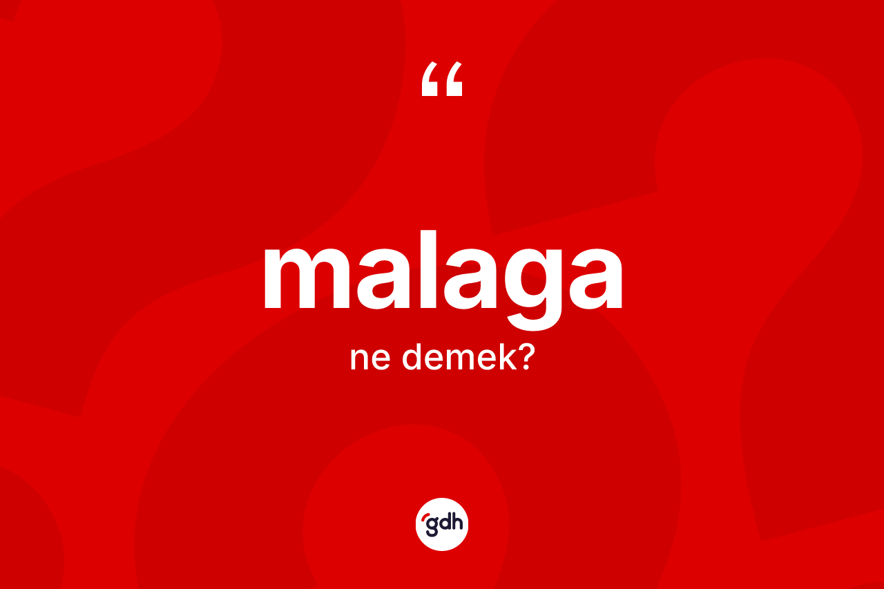 Malaga ne anlama gelir? Malaga kelimesinin TDK anlamı nedir?