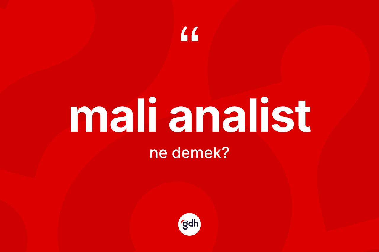 Mali analist kelimesinin tanımı nedir? Mali analist kelimesinin TDK anlamı nedir?