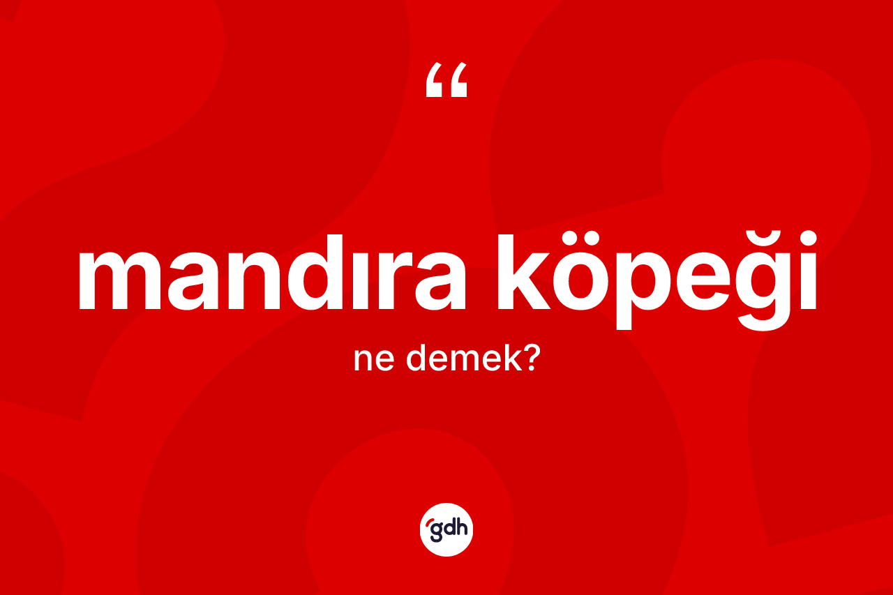 Mandıra köpeği  kelimesi ne anlama gelir? Mandıra köpeği  kelimesinin TDK'ya göre açıklaması nedir?