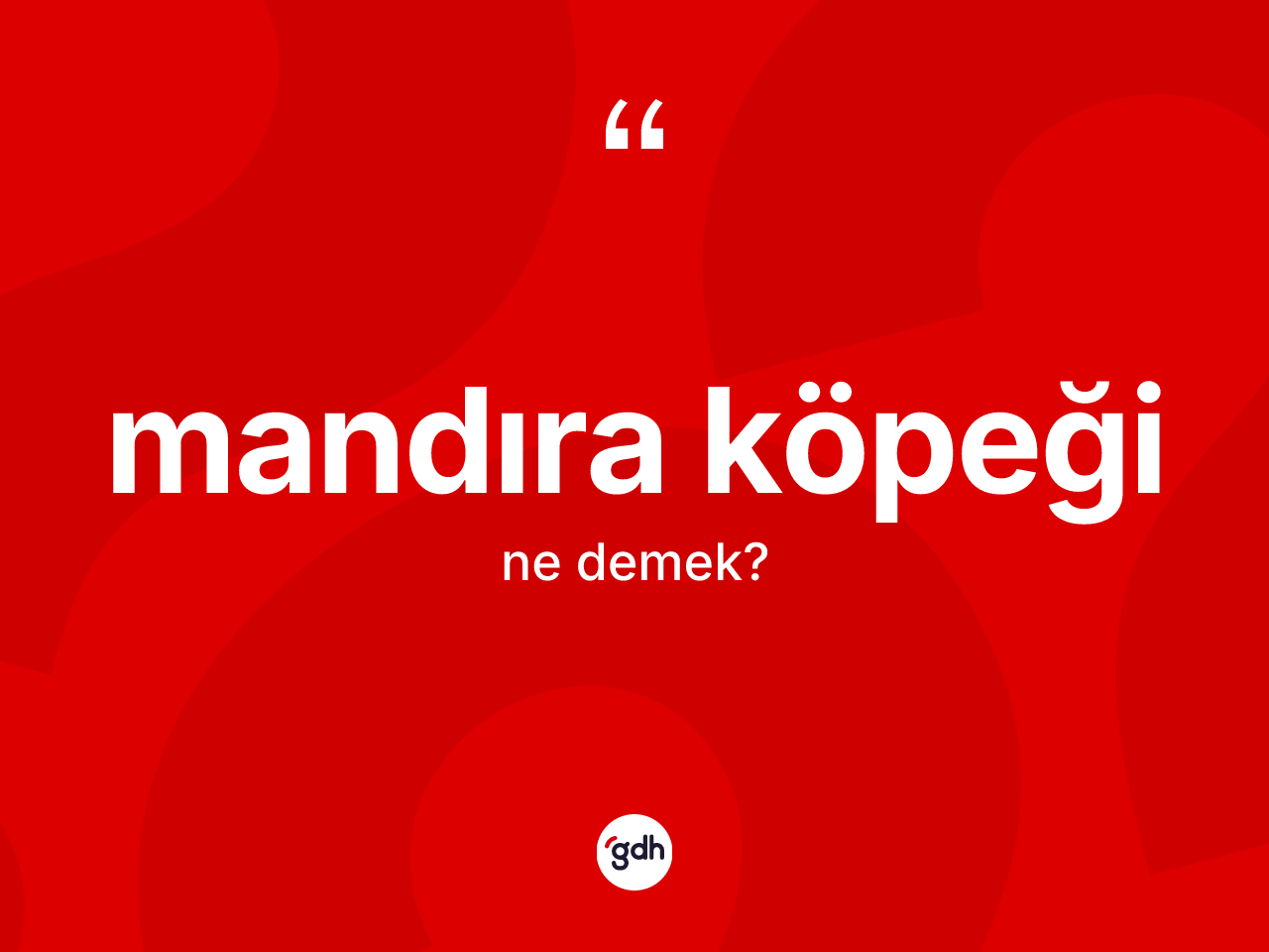 Mandıra köpeği  kelimesi ne anlama gelir? Mandıra köpeği  kelimesinin TDK'ya göre açıklaması nedir?