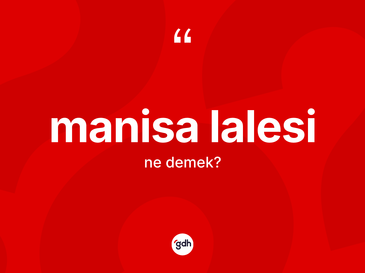 Manisa lalesi ne anlama gelir? Manisa lalesinin kısaca tanımı nedir?