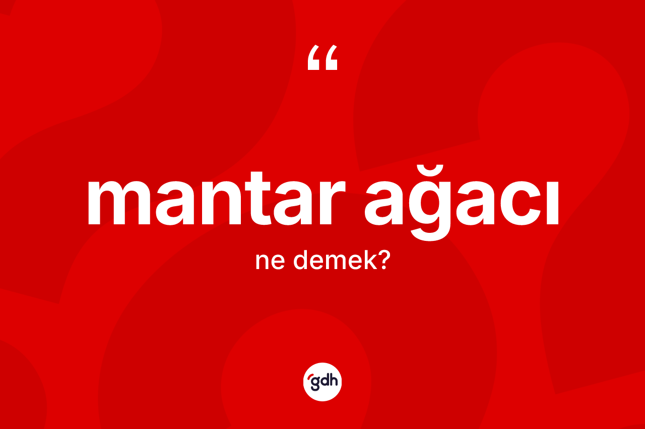 Mantar ağacı kelimesinin tanımı nedir? Mantar ağacının TDK'ya göre anlamı nedir?