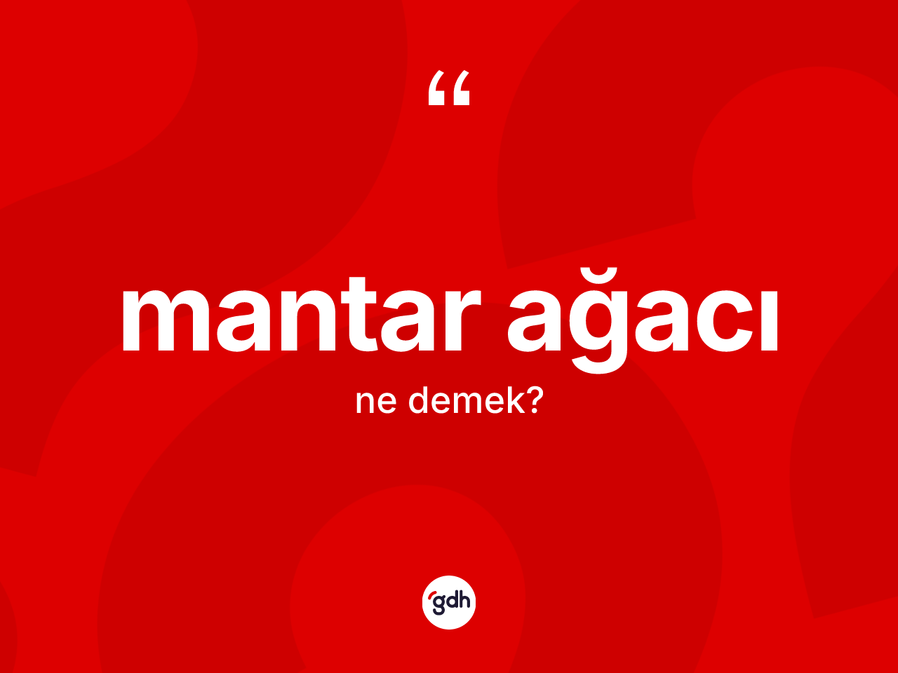 Mantar ağacı kelimesinin tanımı nedir? Mantar ağacının TDK'ya göre anlamı nedir?