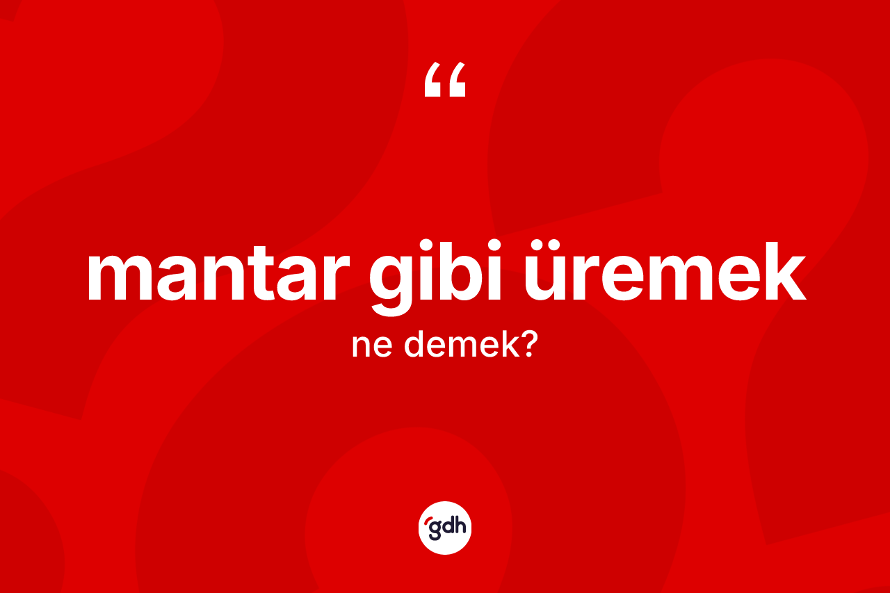 Mantar gibi üremek ifadesinin kısaca anlamı nedir? Mantar gibi üremek ifadesi nerede kullanılır?