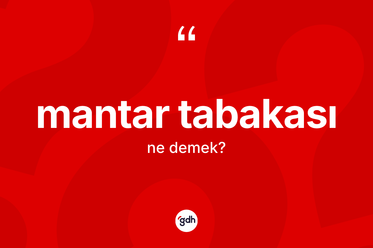 Mantar tabakası kelimesinin tanımı nedir? Mantar tabakasının sözlükteki anlamı nedir?
