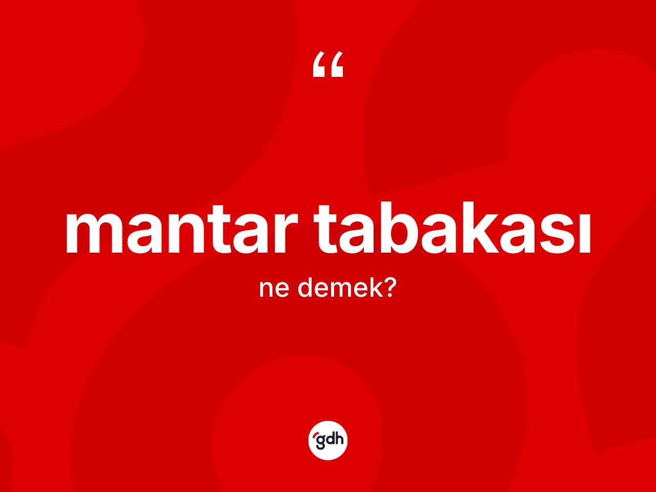 Mantar tabakası kelimesinin tanımı nedir? Mantar tabakasının sözlükteki anlamı nedir?