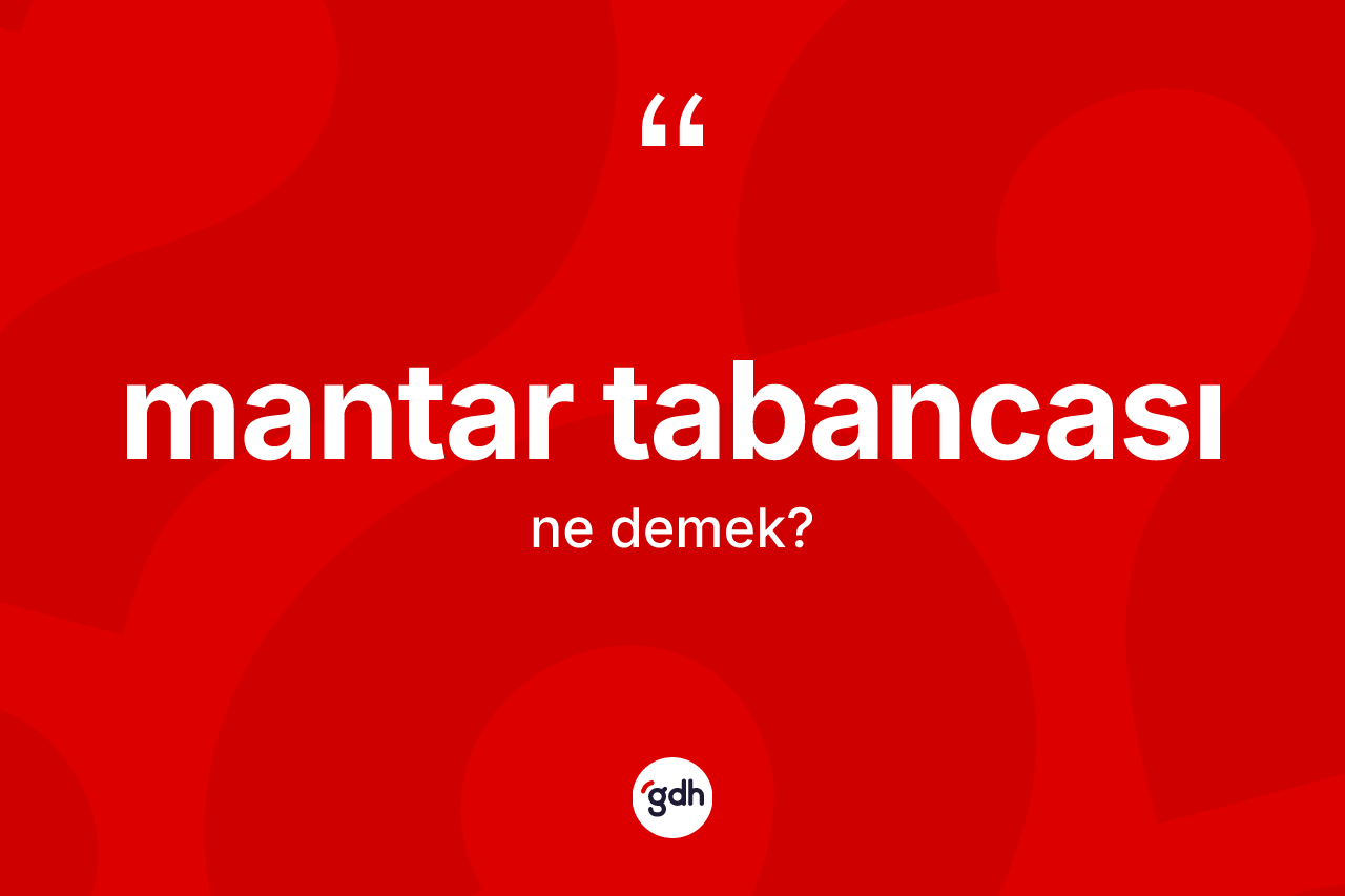 Mantar tabancası kelimesinin tanımı nedir? Mantar tabancasının TDK'ya göre anlamı nedir?