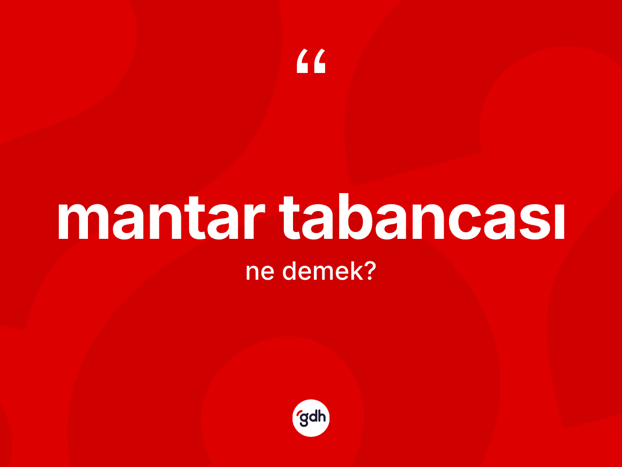 Mantar tabancası kelimesinin tanımı nedir? Mantar tabancasının TDK'ya göre anlamı nedir?