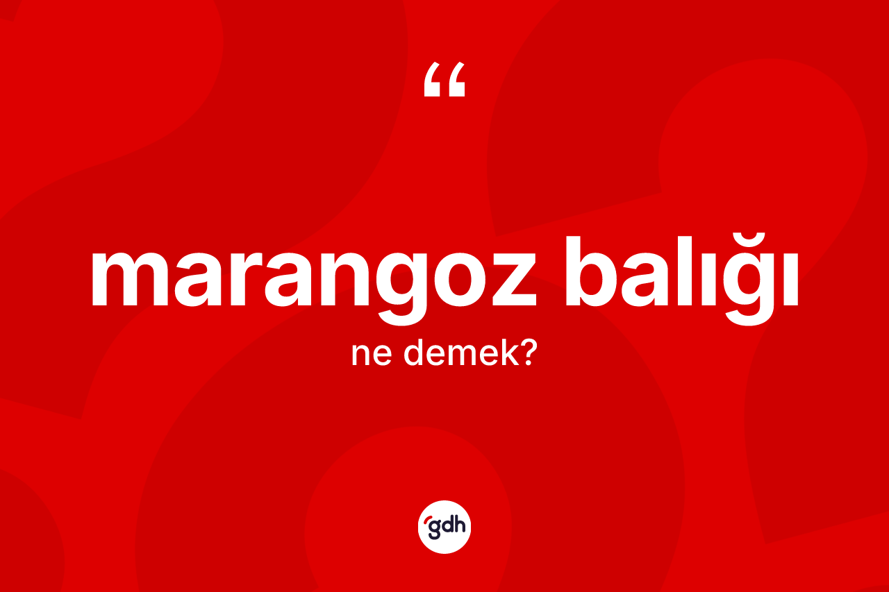 Marangoz balığı nedir? Marangoz balığı kelimesinin TDK'ya göre açıklaması nedir?