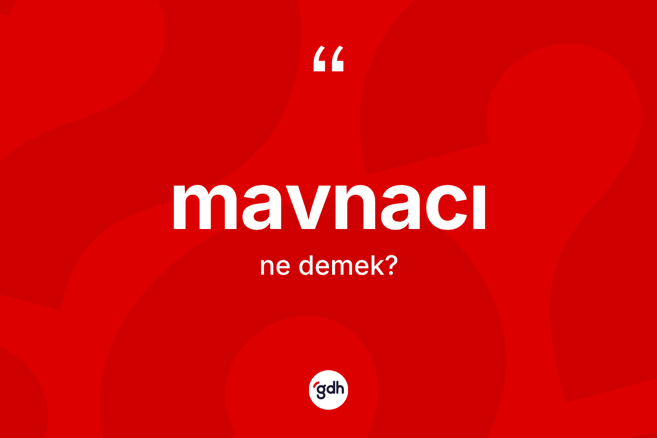 Mavnacı ne demek? Mavnacı kelimesinin kaç farklı anlamı var?