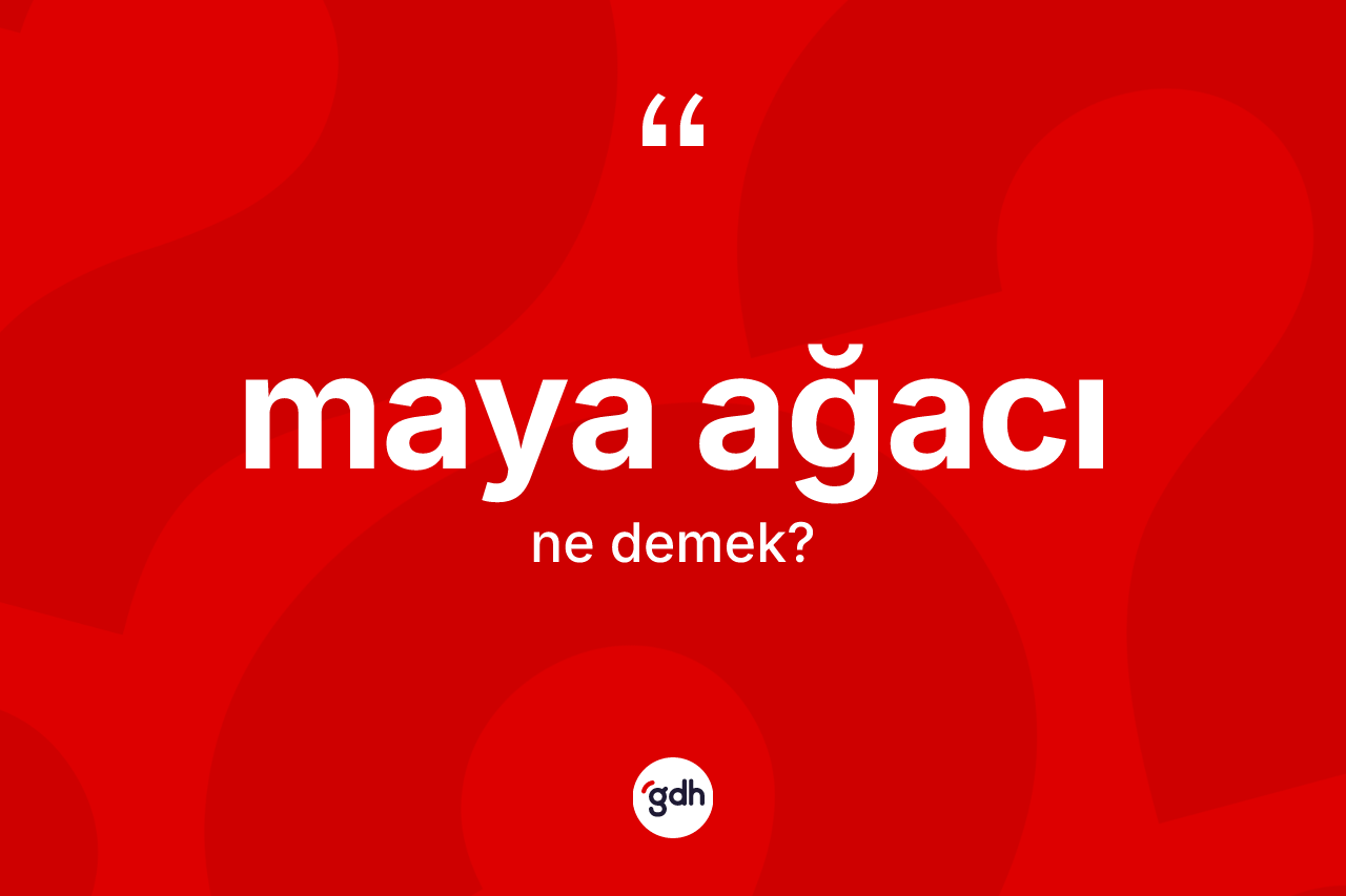 Maya ağacı nedir? Maya ağacı kelimesinin TDK'ya göre açıklaması nedir?