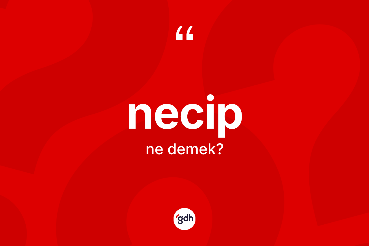 Necip kelimesi ne demek? Necibin TDK'ya göre anlamı nedir?