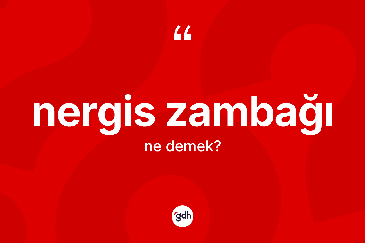 Nergis zambağı kelimesinin sözlükteki tanımı nedir? Nergis zambağı kelimesinin TDK anlamı nedir?