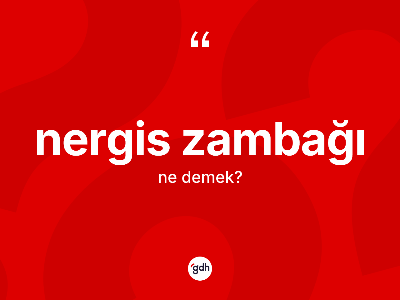 Nergis zambağı kelimesinin sözlükteki tanımı nedir? Nergis zambağı kelimesinin TDK anlamı nedir?