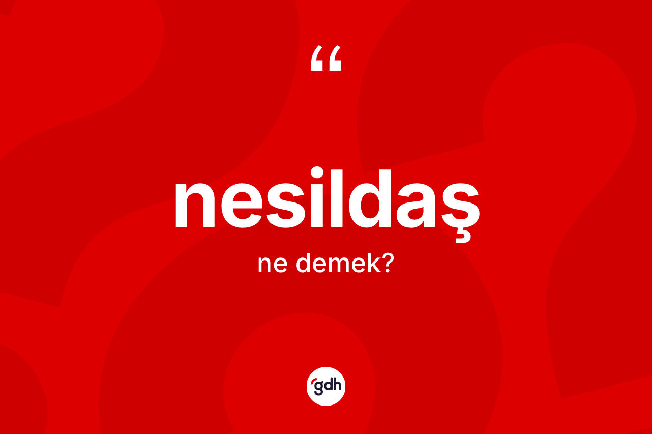 Nesildaş ne demek? Nesildaşın TDK'ya göre anlamı nedir?