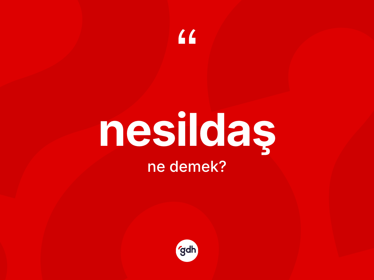 Nesildaş ne demek? Nesildaşın TDK'ya göre anlamı nedir?