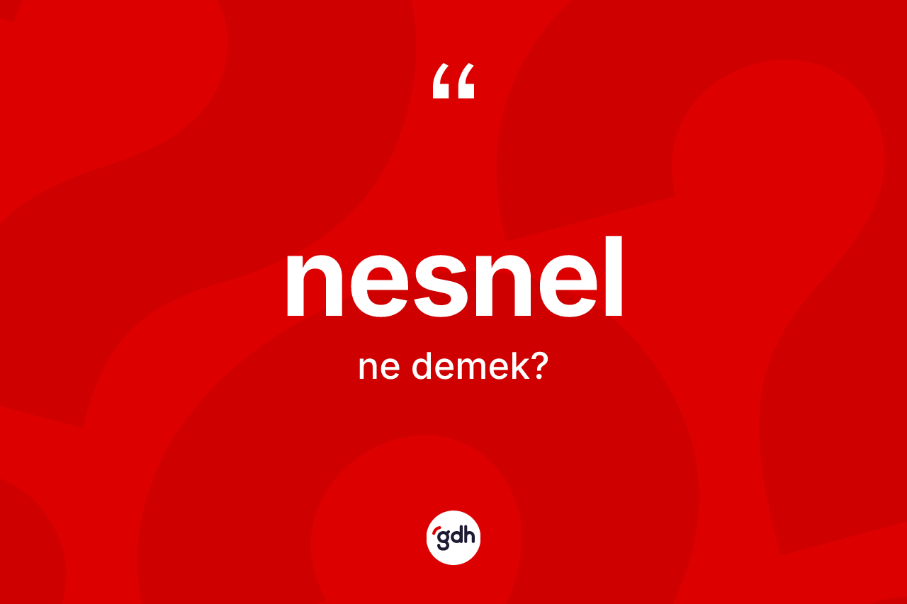 Nesnel nedir? Nesnelin sözlükteki anlamı nedir?