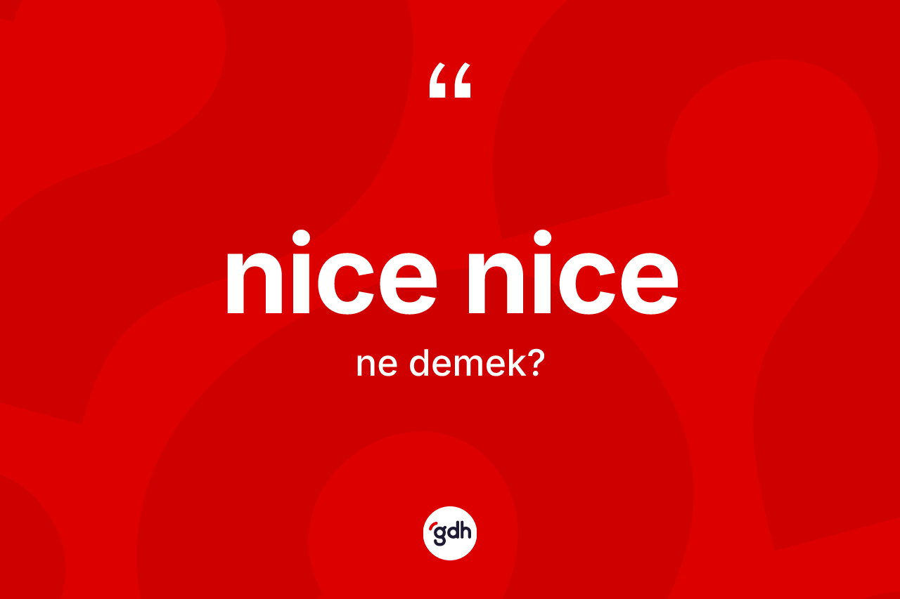 Nice nice nedir? Nice nicenin TDK'ya göre anlamı nedir?