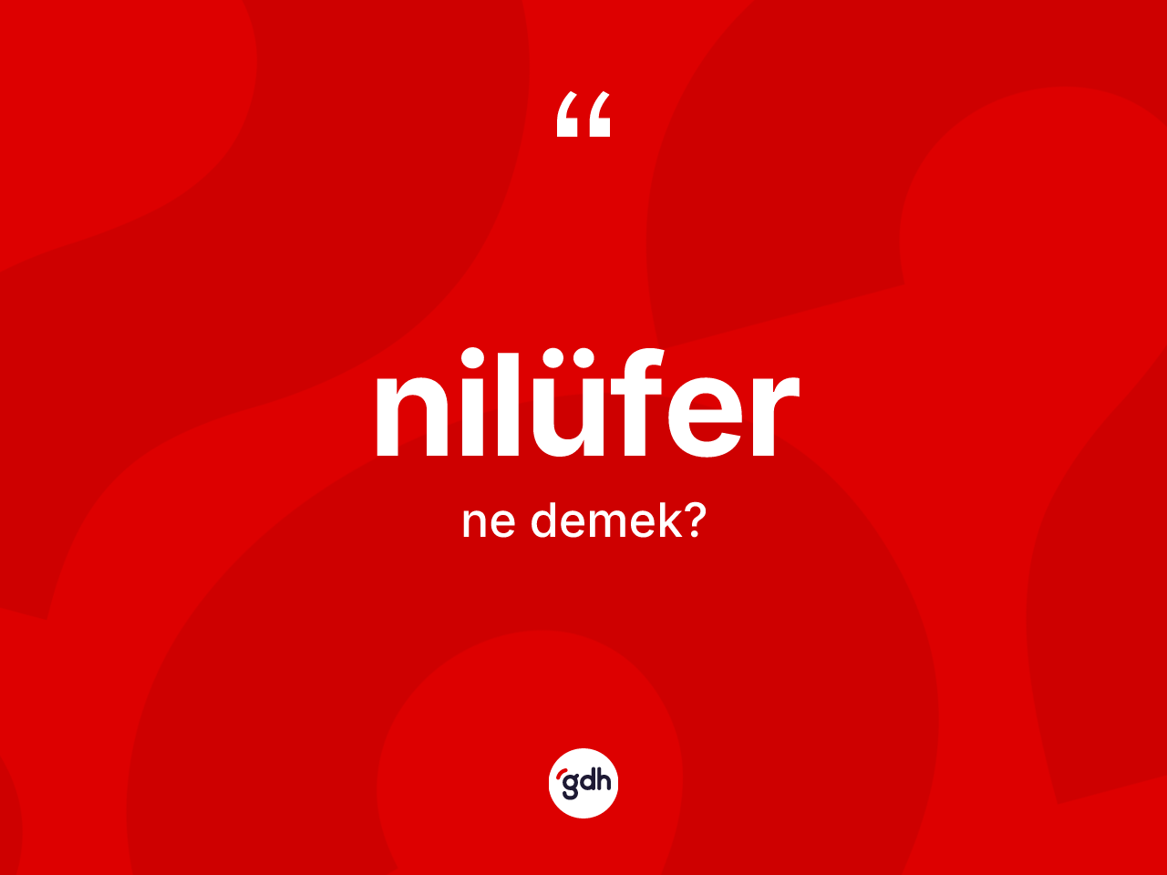 Nilüfer nedir? Nilüferin TDK'ya göre anlamı nedir?