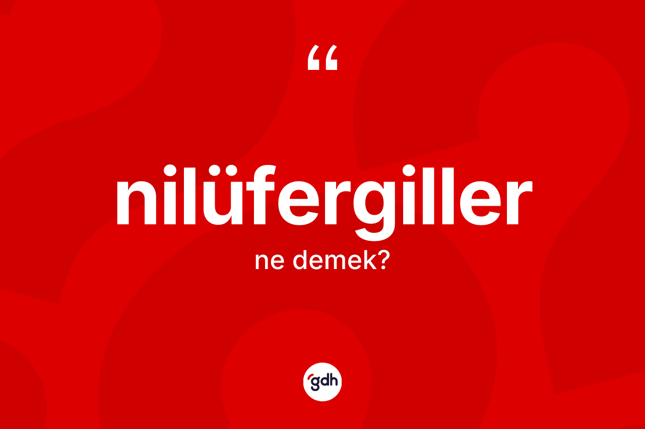 Nilüfergiller kelimesinin anlamı nedir? Nilüfergillerin TDK'ya göre anlamı nedir?