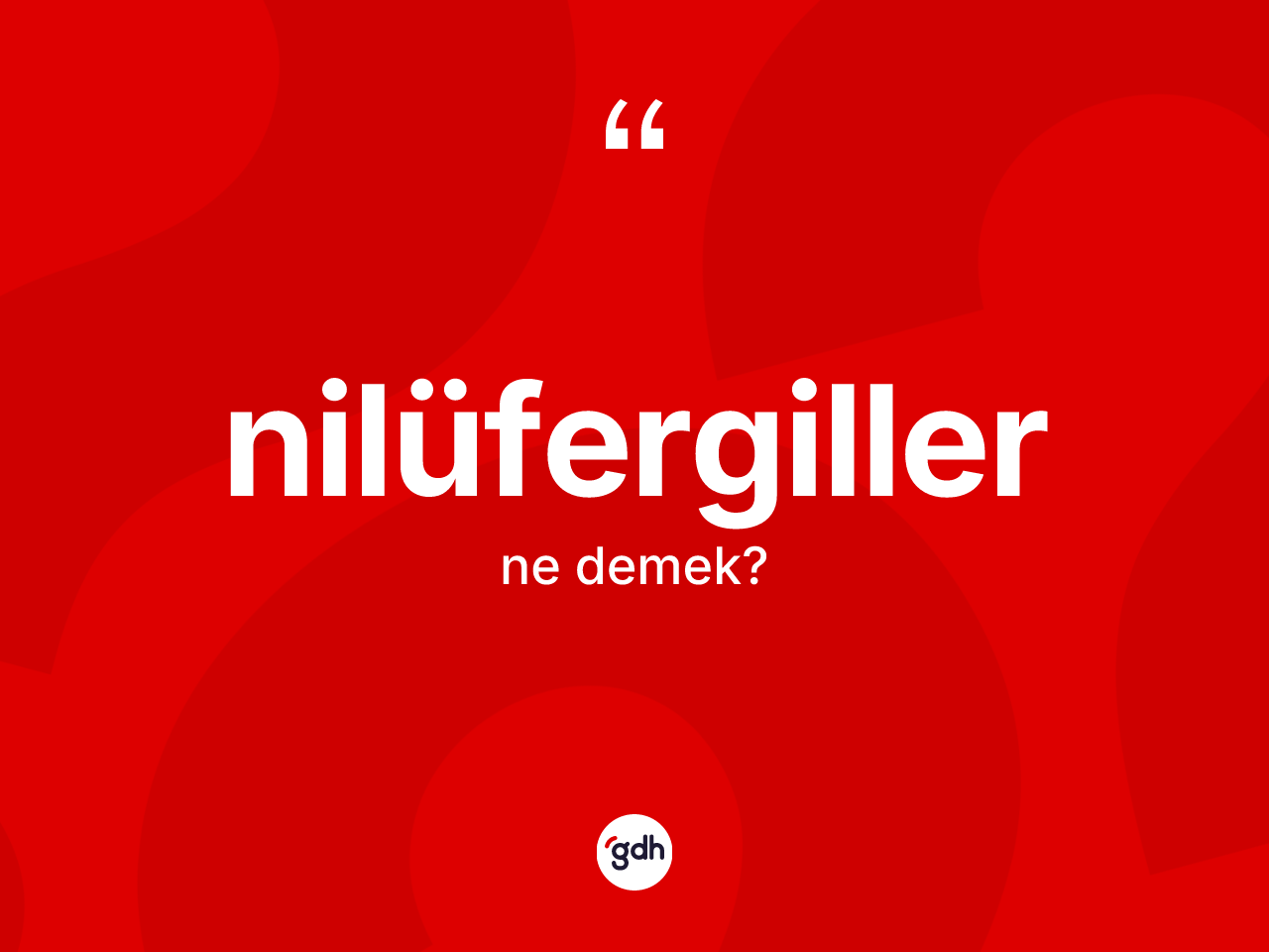 Nilüfergiller kelimesinin anlamı nedir? Nilüfergillerin TDK'ya göre anlamı nedir?