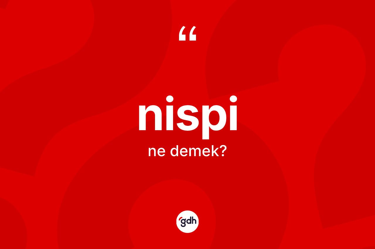 Nispi kelimesinin tanımı nedir? Nispinin sözlükteki anlamı nedir?