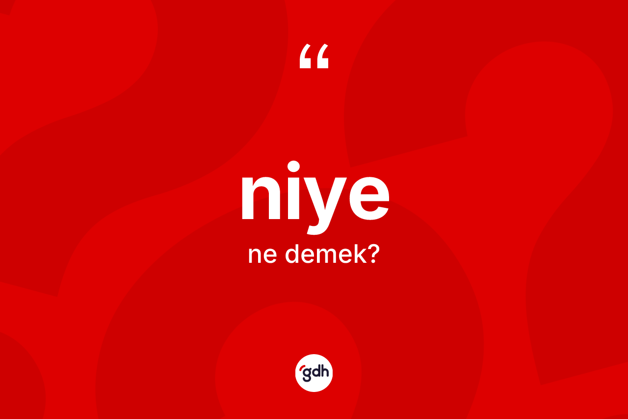 Niye kelimesinin sözlükteki tanımı nedir? Niye kelimesinin kaç farklı anlamı var?