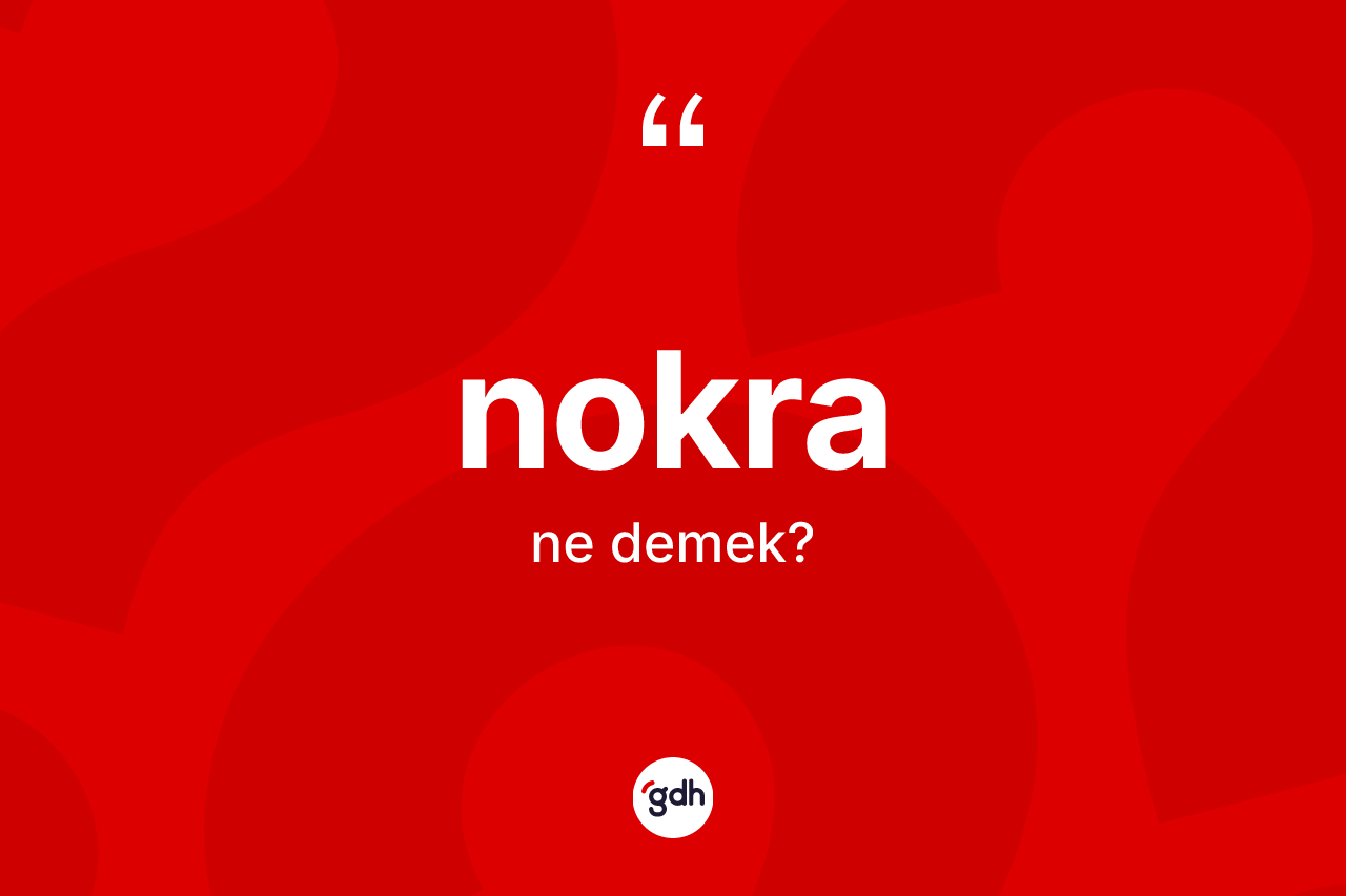 Nokra kelimesi ne demek? Nokra kelimesinin TDK'ya göre açıklaması nedir?