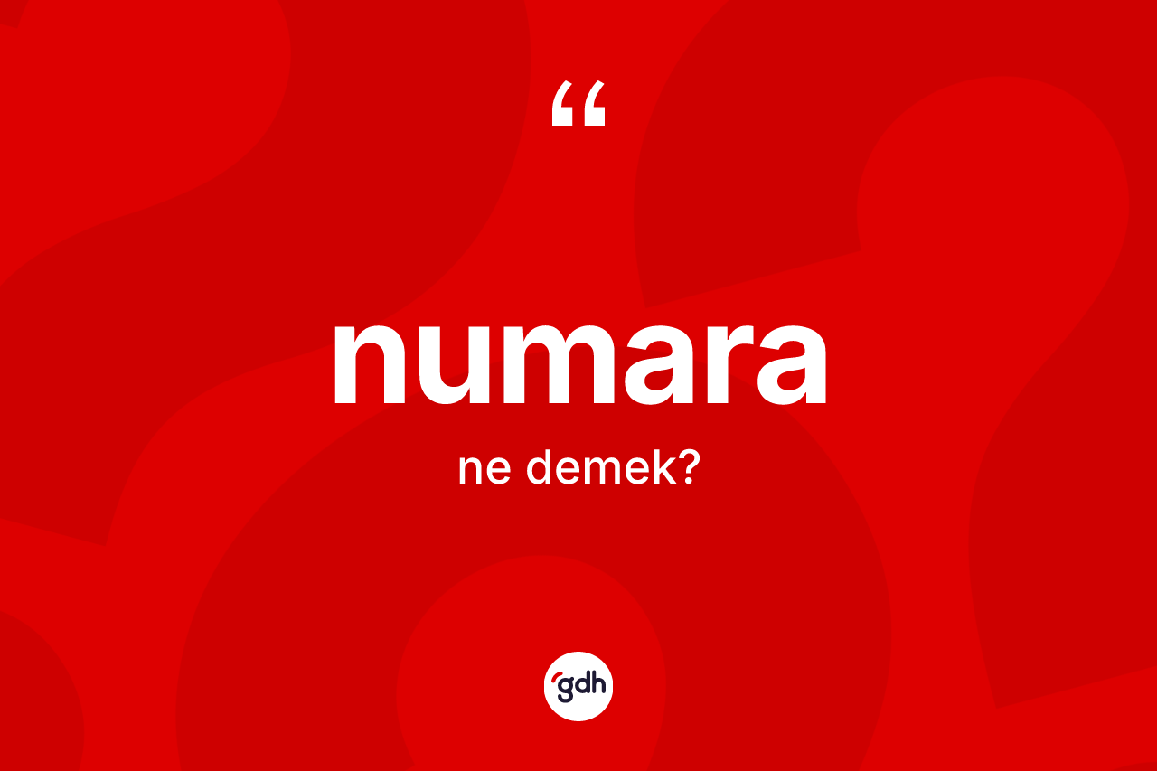 Numara kelimesinin sözlükteki tanımı nedir? Numara kelimesinin TDK anlamı nedir?
