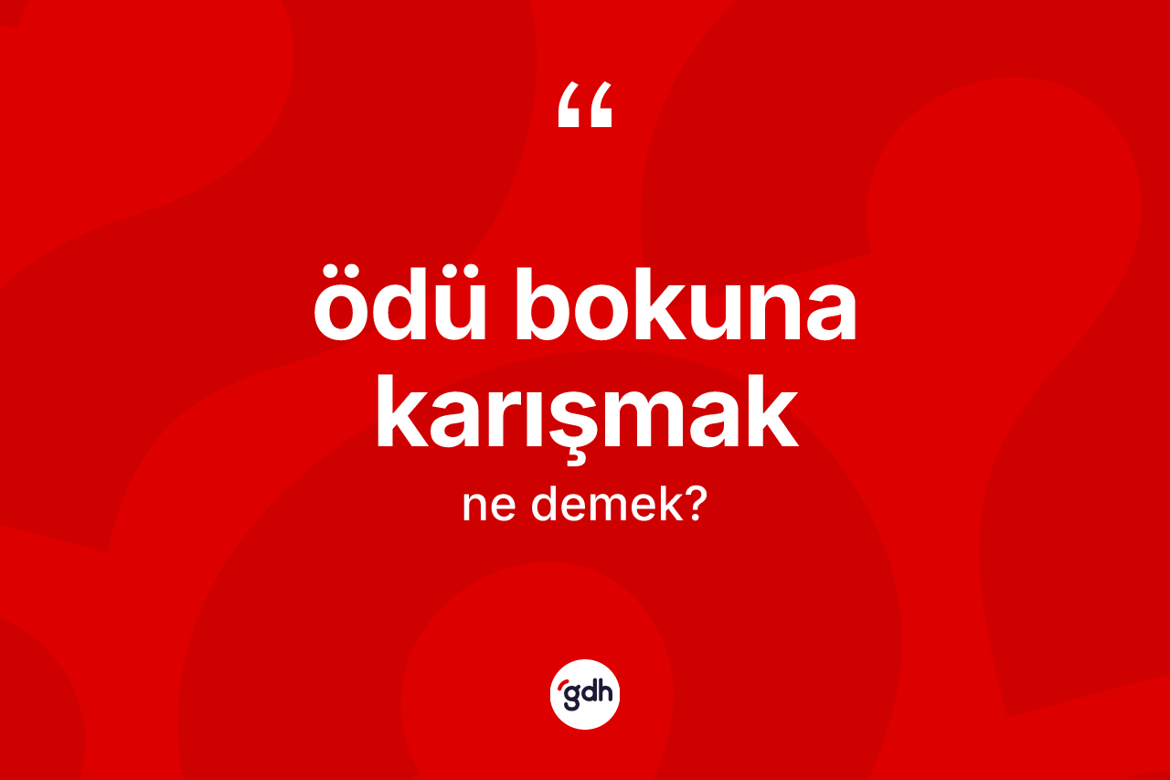 Ödü bokuna karışmak ifadesi ne demektir? Ödü bokuna karışmak sözünün TDK tanımı nedir?