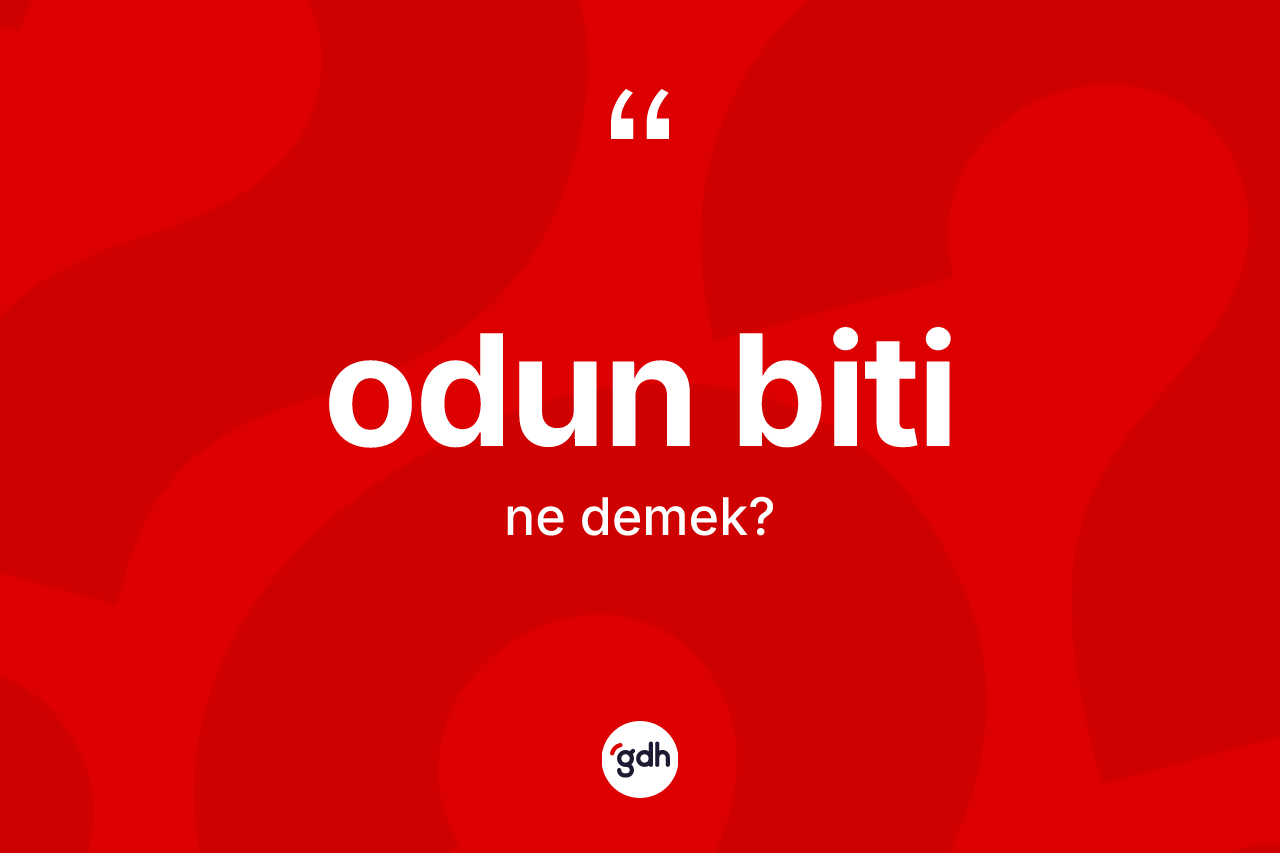 Odun biti  kelimesinin anlamı nedir? Odun biti  kelimesinin TDK'ya göre açıklaması nedir?