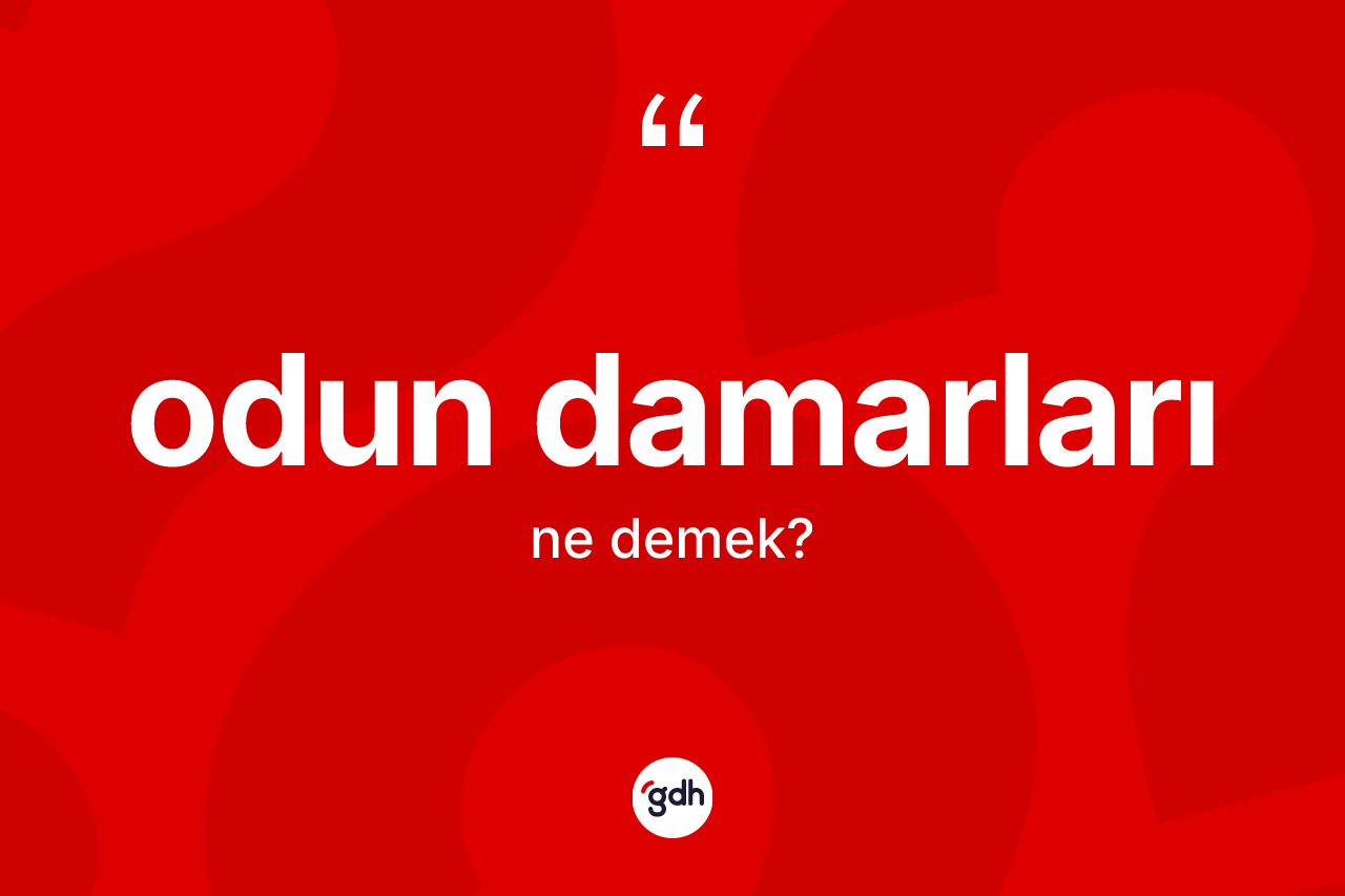 Odun damarları  ne anlama gelir? Odun damarları ın sözlükteki anlamı nedir?