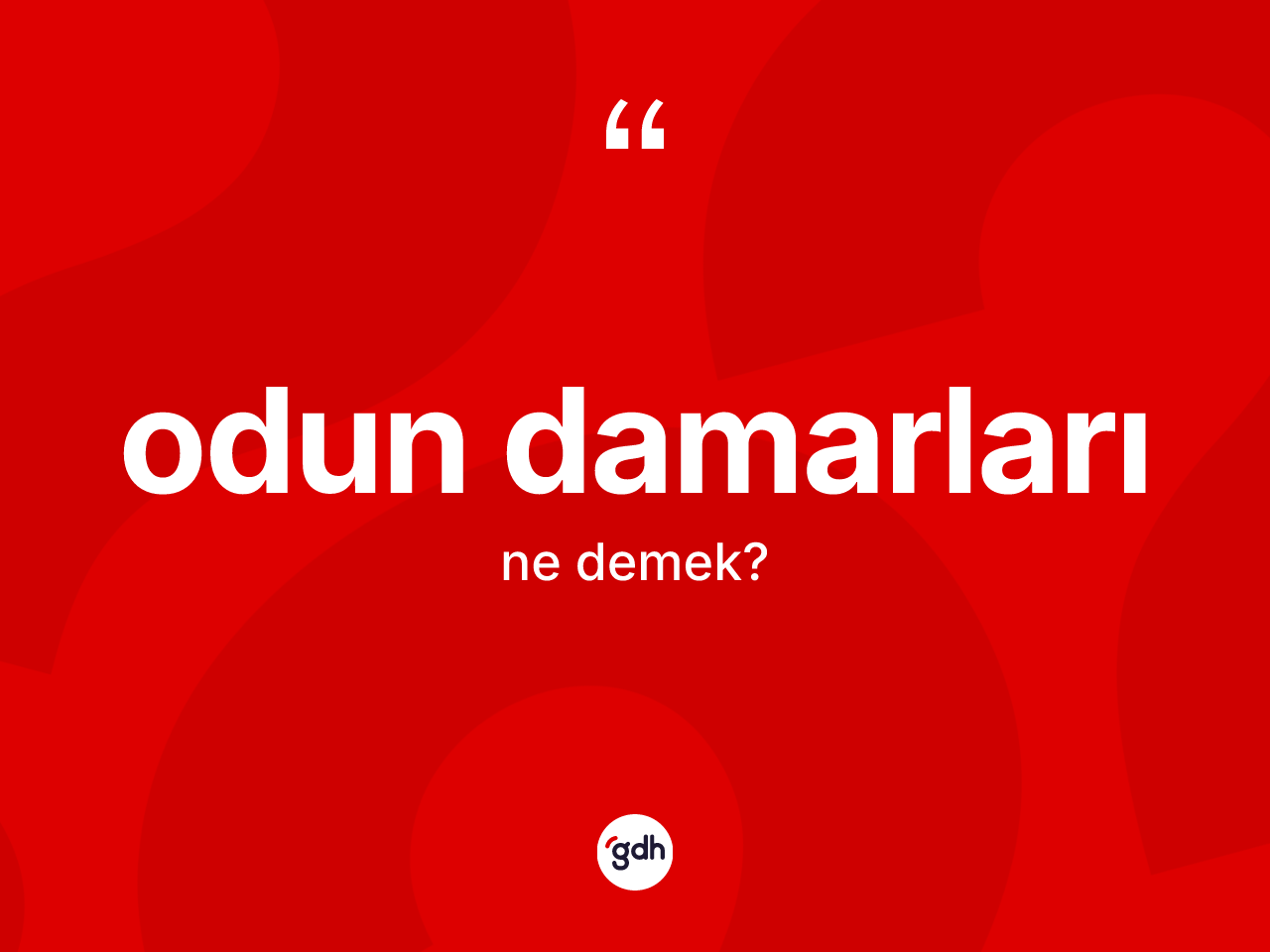 Odun damarları  ne anlama gelir? Odun damarları ın sözlükteki anlamı nedir?