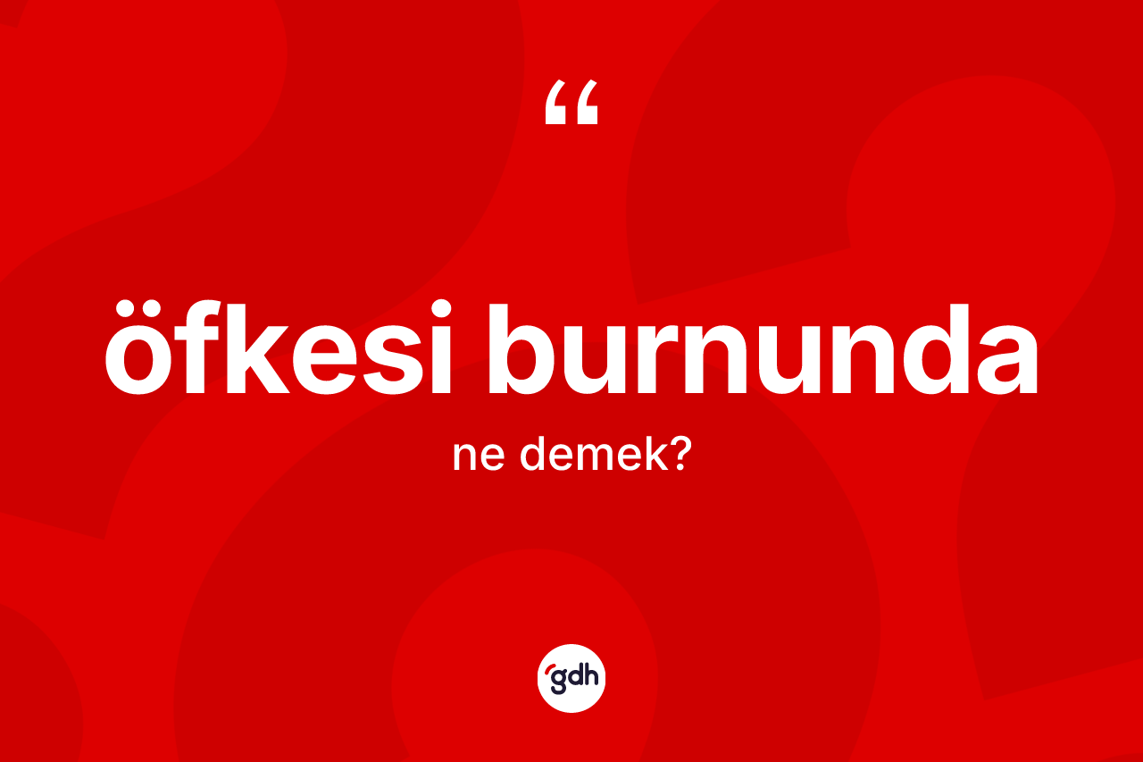 Öfkesi burnunda kelimesi nedir? Öfkesi burnundanın TDK'ya göre anlamı nedir?