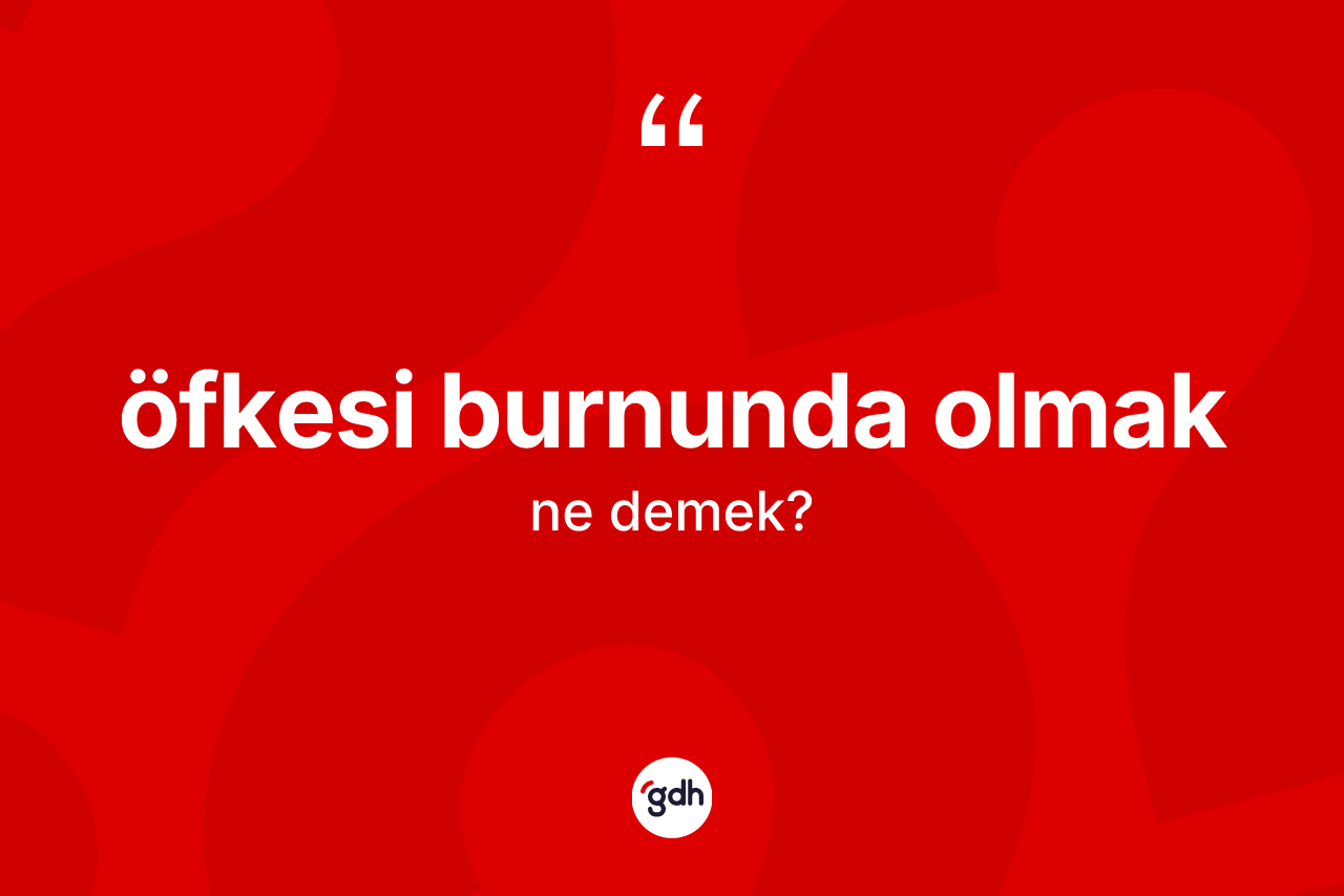 Öfkesi burnunda olmak sözü ne demek? Öfkesi burnunda olmak ifadesi hangi durumlarda kullanılır?