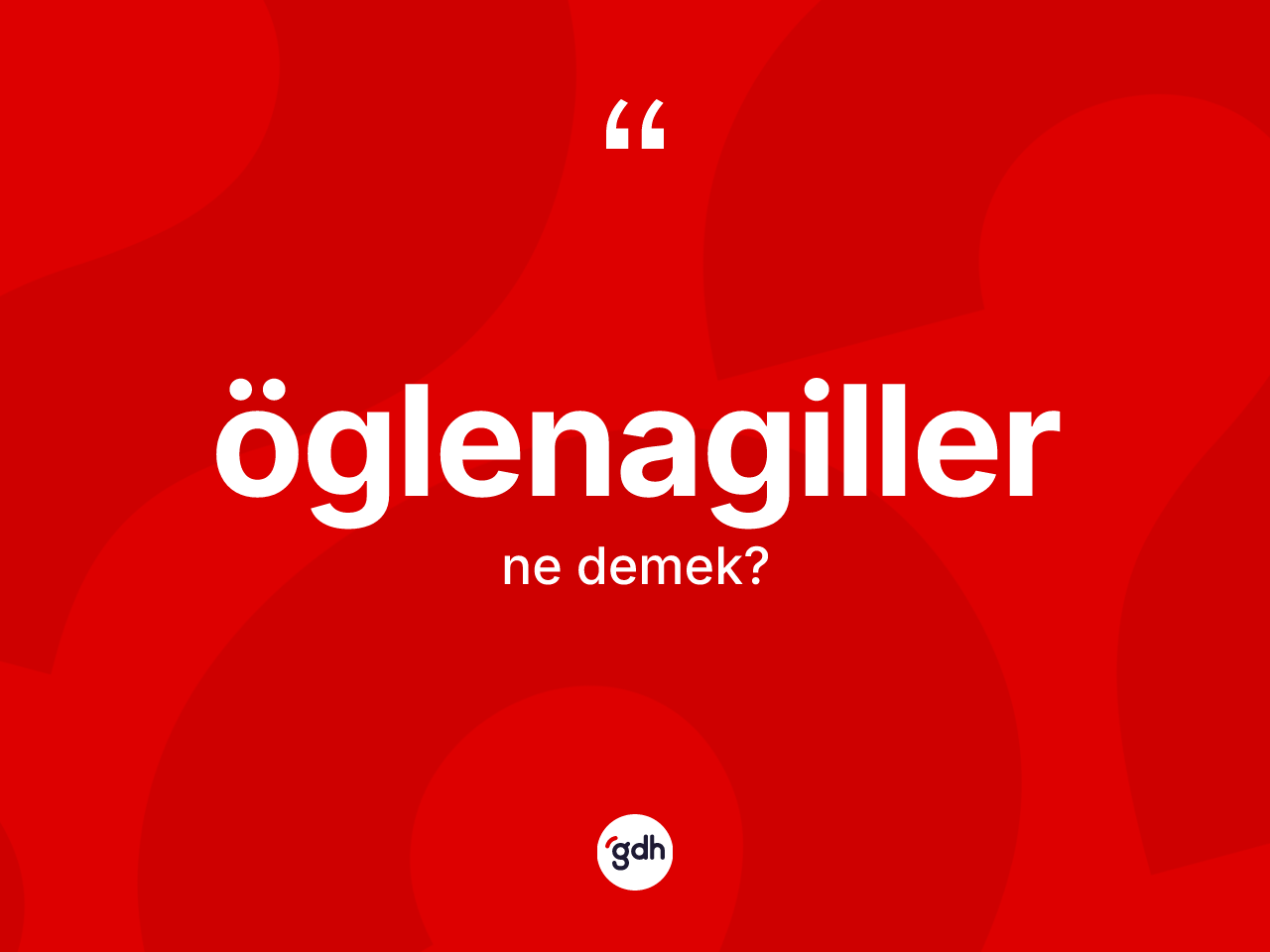 Öglenagiller kelimesinin anlamı nedir? Öglenagillerin halk arasındaki kullanımı nasıldır?