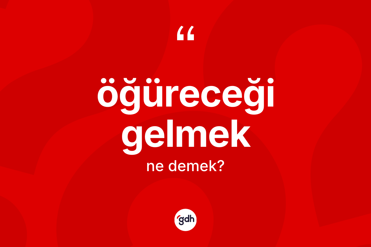 Öğüreceği gelmek ifadesi neyi anlatır? Öğüreceği gelmek ifadesinin kaç farklı anlamı var?