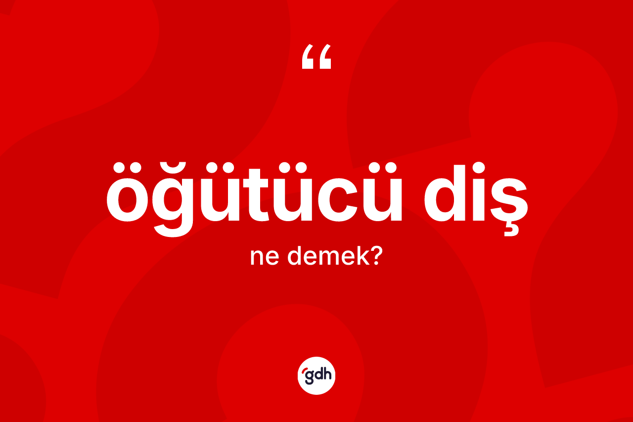 Öğütücü diş kelimesi nedir? Öğütücü dişin TDK'ya göre anlamı nedir?