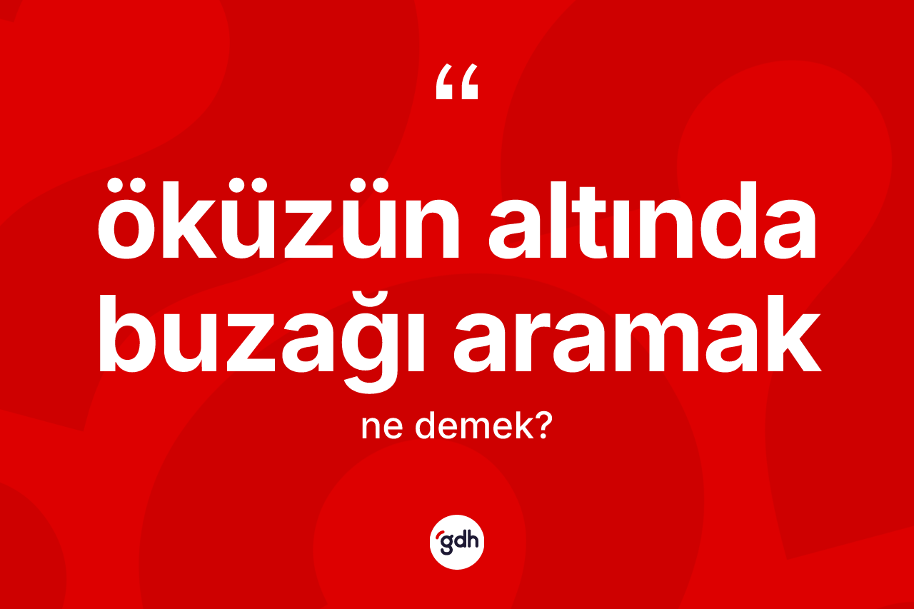 Öküzün altında buzağı aramak ne anlama gelir? Öküzün altında buzağı aramak ifadesi nerede kullanılır?