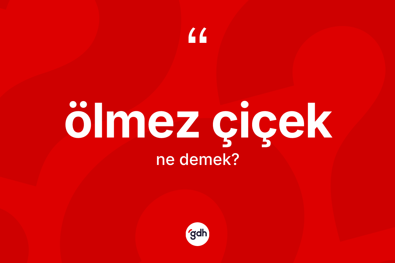 Ölmez çiçek kelimesi nedir? Ölmez çiçeğin kısaca tanımı nedir?
