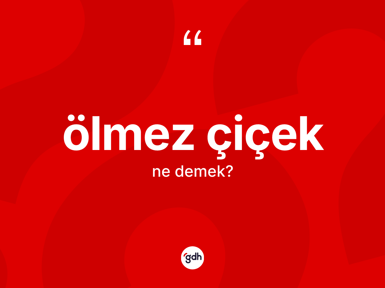 Ölmez çiçek kelimesi nedir? Ölmez çiçeğin kısaca tanımı nedir?