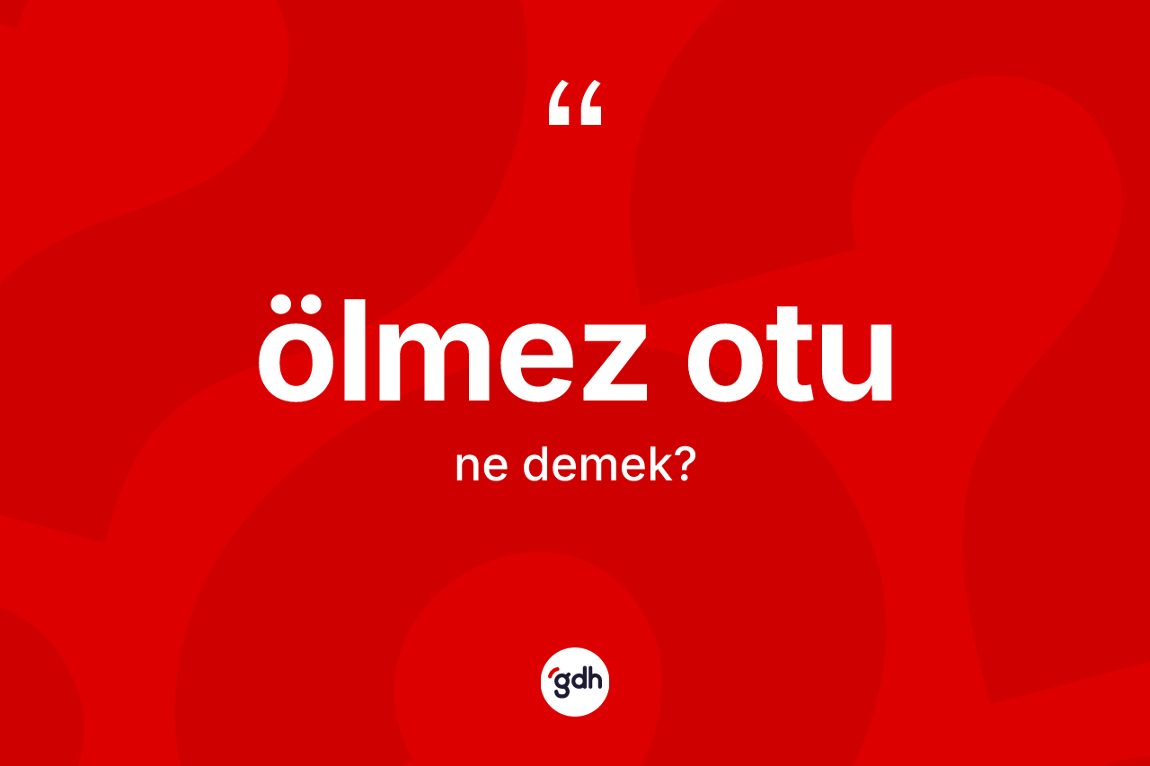 Ölmez otu ne demek? Ölmez otunun TDK'ya göre anlamı nedir?